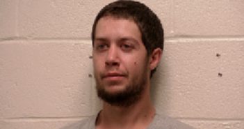 FREEMAN, KYLE BRANDEN | 2018-05-19 00:37:00 Robertson County, Tennessee Booking
