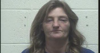 JOHNSON, PATRICIA GAIL | 2018-05-20 03:37:00 Robertson County, Tennessee Booking