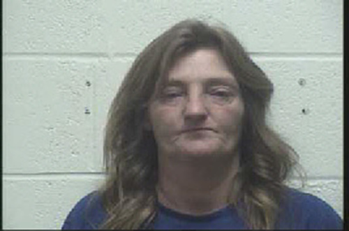 JOHNSON, PATRICIA GAIL #, Robertson County, Tennessee - 2018-05-20 03:37:00