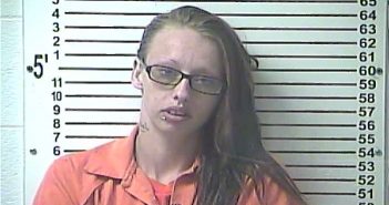 HEATHER MARIE CARWILE | 2018-05-24 20:16:00 Hardin County, Kentucky Booking