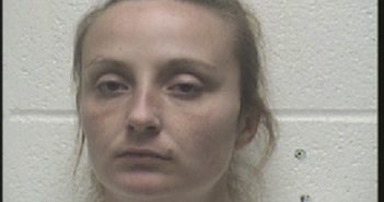 DICKIE, SAVANNAH KAY | 2018-05-24 00:25:00 Robertson County, Tennessee Booking