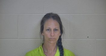 ALISA M LOY | 2018-05-28 21:31:00 Taylor County, Kentucky Booking