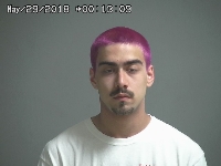 DOROBEK LEVI | 2018-05-28 Sandusky County, Ohio Booking