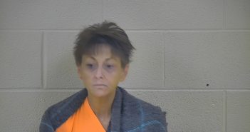 BRIDGET D. JONES | 2018-05-29 23:01:00 Taylor County, Kentucky Booking