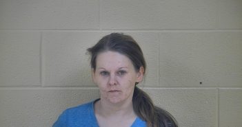 SARAH L CLARK | 2018-05-29 10:50:00 Taylor County, Kentucky Booking