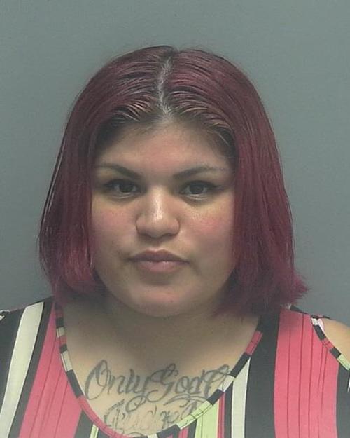 IBARRA, ERICA LEE #, Lee County, Florida - 2018-05-30 11:11:00