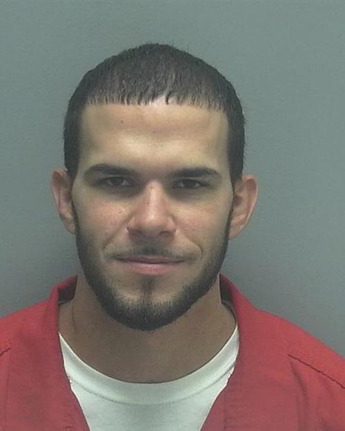 ALCEDO, MATTHEW ERIC #, Lee County, Florida - 2018-05-30 11:03:00