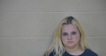 HEATHER WILLIAMS | 2018-05-31 12:28:00 Taylor County, Kentucky Booking