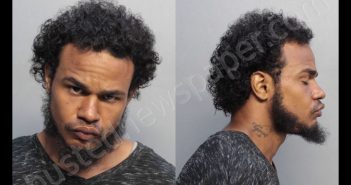 RAMIREZ, LUIS ALBERTO | 2018-05-31 03:18:00 Miami-Dade County, Florida Booking