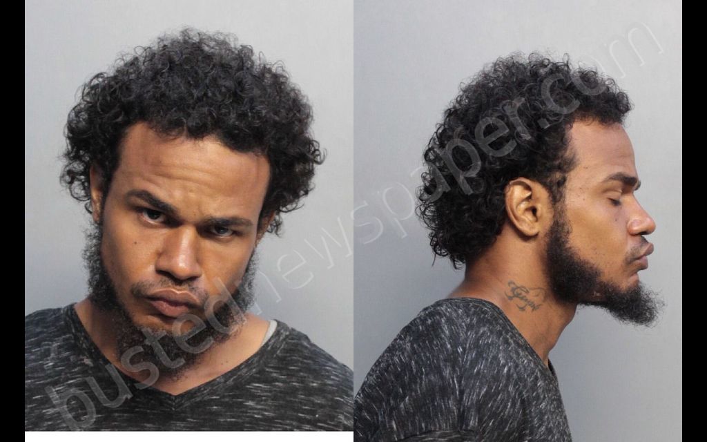 RAMIREZ, LUIS ALBERTO #, Miami-Dade County, Florida - 2018-05-31 03:18:00