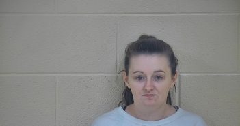 AMBER L DOOLIN | 2018-06-01 13:13:00 Taylor County, Kentucky Booking