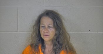 TELINA F. SEITZ | 2018-06-01 21:44:00 Taylor County, Kentucky Booking