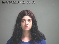 FRENI ELIZA M | 2018-06-01 Sandusky County, Ohio Booking
