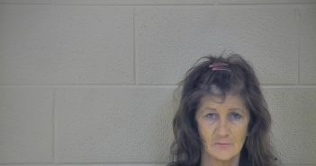 WANDA A WATSON | 2018-06-02 11:28:00 Taylor County, Kentucky Booking