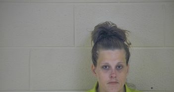 WHITNEY SMITH | 2018-06-02 13:52:00 Taylor County, Kentucky Booking