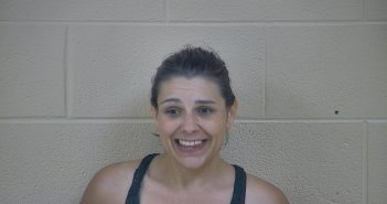 KRISTIN YOUNG | 2018-06-02 03:23:00 Taylor County, Kentucky Booking