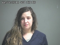 BORDNER ANDREA | 2018-06-04 Sandusky County, Ohio Booking