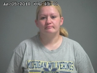 WILSON SARA | 2018-06-05 Sandusky County, Ohio Booking