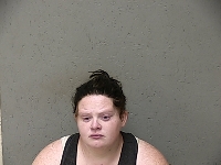 PLATTE ABIGAIL REBECCA | 2018-06-07 Gratiot County, Michigan Booking