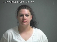 VALLE MELISSA | 2018-06-07 Sandusky County, Ohio Booking