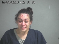 CASTILLO CORTNEY ANN | 2018-06-09 Sandusky County, Ohio Booking