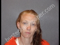 EDWARDS LISA MARIE | 2018-06-09 Jefferson County, Nebraska Booking