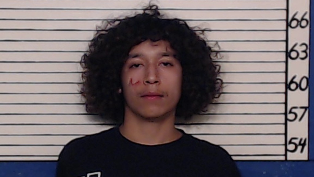 REYES, CRISTIAN LEE #, Comal County, Texas - 2018-06-10