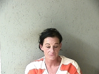 POTTER NICOLE LYNN | 2018-06-10 Gratiot County, Michigan Booking
