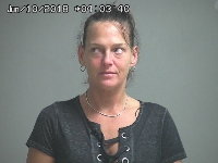 GASURAS NICHELLE DANYELLE | 2018-06-10 Sandusky County, Ohio Booking