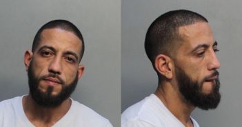 PENA, LUIS ALFREDO | 2018-06-11 09:55:00 Miami-Dade County, Florida Booking