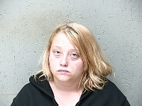 CROSLEY MEGAN DIANE | 2018-06-11 Gratiot County, Michigan Booking