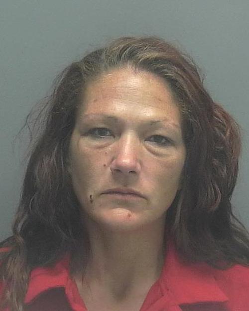 IPPOLITO, JENNIFER LYNN #, Lee County, Florida - 2018-06-11 11:58:00