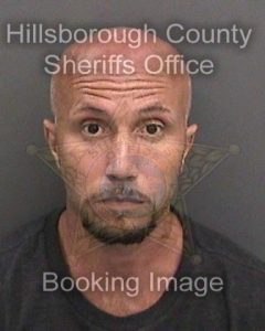 FINCH, MICHAEL JAY | 2018-06-11 20:07:00 Hillsborough County, Florida Booking