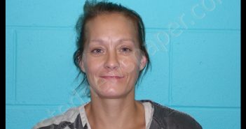 CRANE, APRIL DIANE | 2018-06-12 18:53:00 Nolan County, Texas Booking