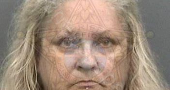 ENGELBRECHT, DANNI FAYE #, Hillsborough County, Florida - 2018-06-14 15:00:00
