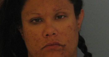 LEYVA, MARIA LUISA | 2018-06-16 Andrews County, Texas Booking