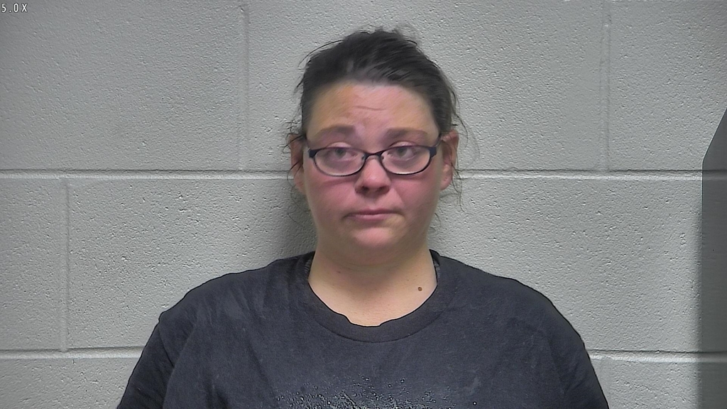 BRANDIE ELIZABETH DICELLO #, Oldham County, Kentucky - 2018-06-17 04:08:00