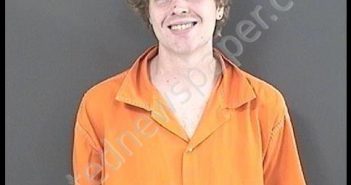 SHELTON, MICHAEL ALYN | 2018-06-20 16:04:00 Roanoke County, Virginia Booking