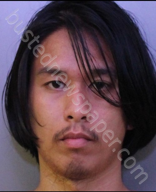 VELOSO, ISAAC ABRAHAM #, Polk County, Florida - 2018-06-21