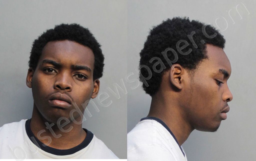 SCOTT, TROYDARIUS DAVONTE #, Miami-Dade County, Florida - 2018-06-24 00:19:00