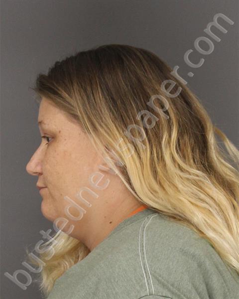 WITT, BRANDI LEE #, Sebastian County, Arkansas - 2018-06-27 10:25:00