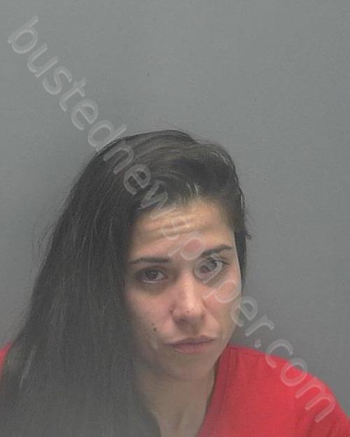 FLOREZ, ALEXANDRA DEL PILAR #, Lee County, Florida - 2018-06-29 02:08:00