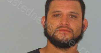 REYES, JOSUE INES | 2018-06-29 Andrews County, Texas Booking