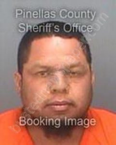 HERNANDEZ, HECTOR ENRIQUE | 2018-07-01 08:19:54 Pinellas County, Florida Booking