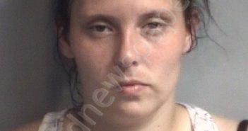 TUSSEY, DANIELLE NICOLE | 2018-07-01 09:43:00 Davidson County, North Carolina Booking