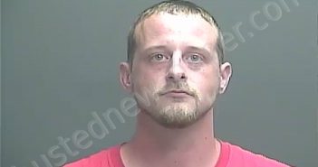 WILLIAM CLYDE DAVIS | 2018-07-02 13:30:00 Knox County, Indiana Booking