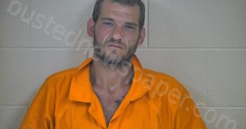 ROY I INGRAM | 2018-07-02 22:50:00 Taylor County, Kentucky Booking