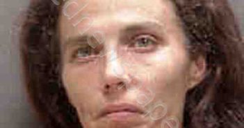 BROWN, KRYSTAL LEE | 2018-07-02 Sarasota County, Florida Booking