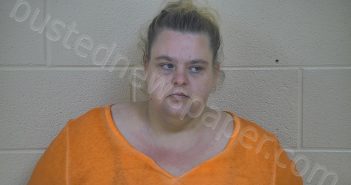 MELISSA K. SANDLIN | 2018-07-03 15:31:00 Taylor County, Kentucky Booking