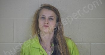 CHRISTINA YOUNG | 2018-07-04 08:37:00 Taylor County, Kentucky Booking